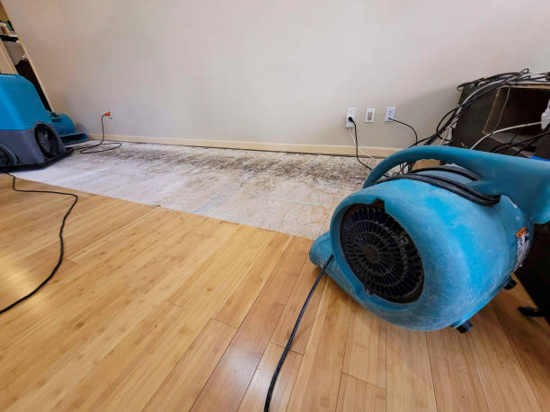 Professional Sewage Cleanup technician working in Brice, OH